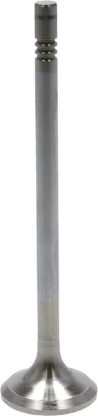 Auslassventil von Deutz 04903006