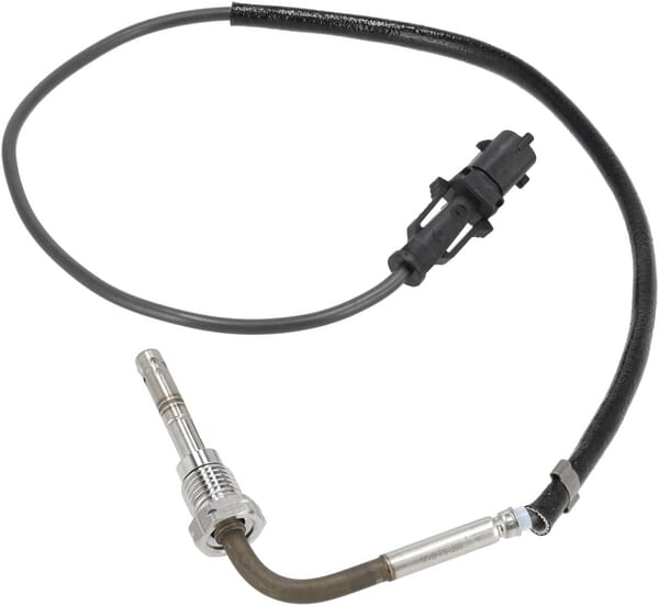 Sensor (1000310735) von Weidemann