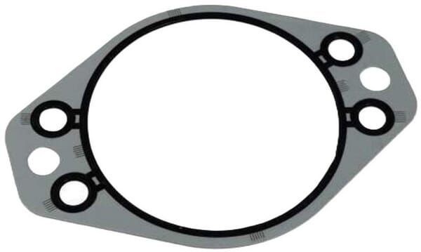 Dichtung (4896897FPT) von New Holland