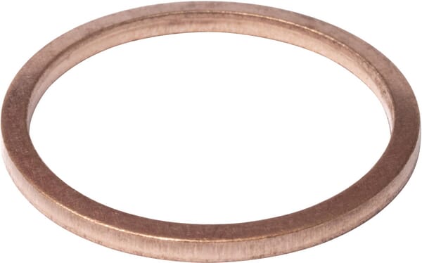 Dichtung Thermostat (X540008278000) von Agco