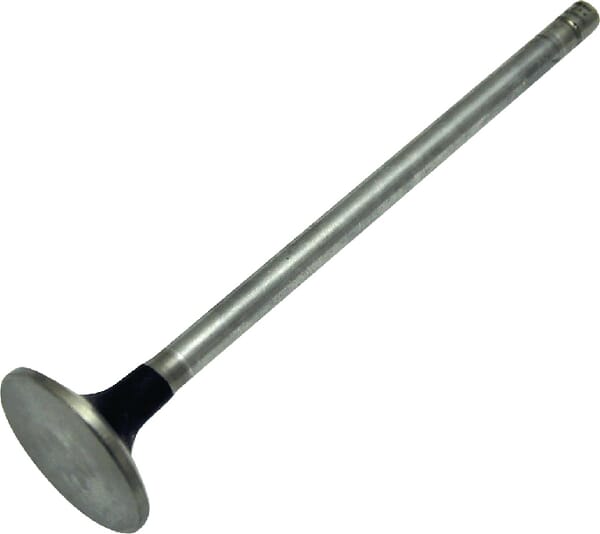 Einlassventil Standard (500355778) von Case IH