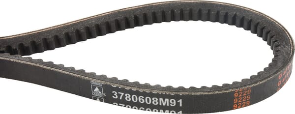 Keilriemen (3780608M91) von Agco
