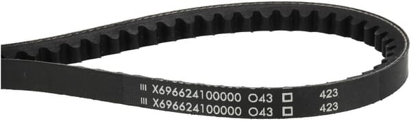 Keilriemen (X696624100000) von Agco