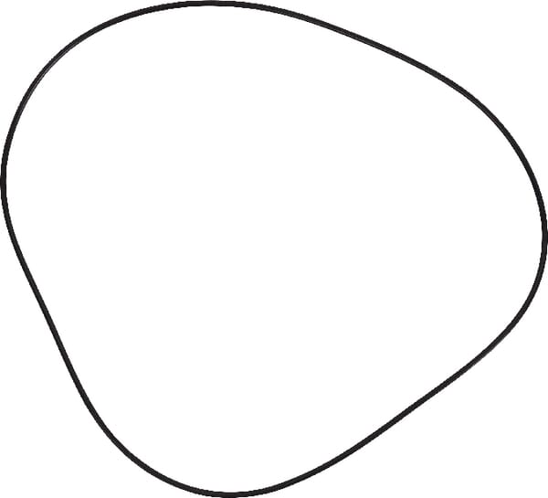 Bremse O-Ring (3617901M2) von Agco