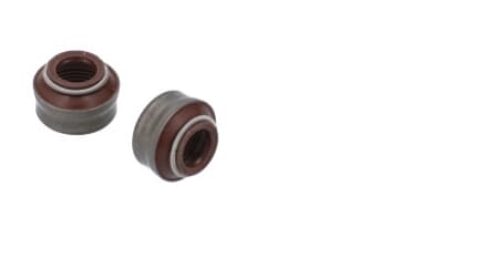 Ölabdichtung am Ventilschaft (40101573FPT) von New Holland