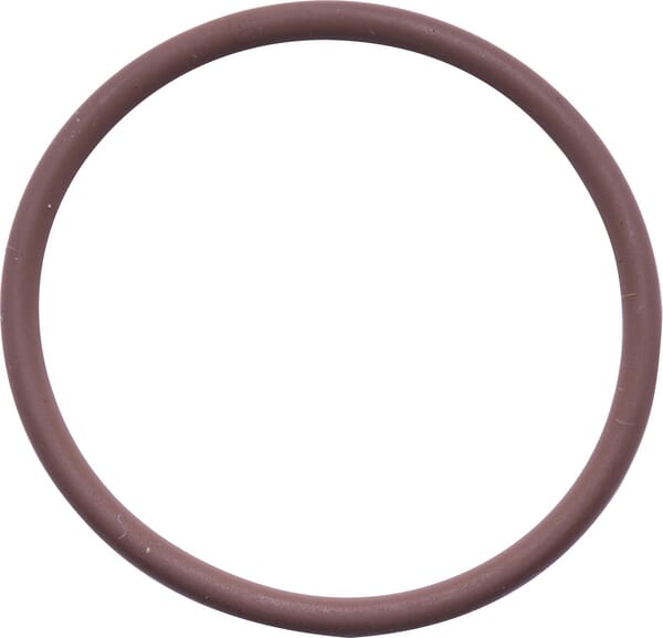 O-Ring (17278981) von Case IH