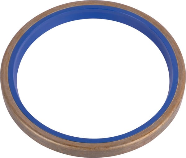 Gasket (365523A1) von Case IH