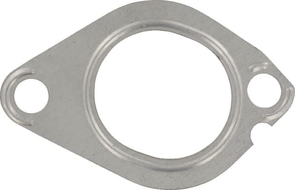 Ansaugkrümmerdichtung (3638737M1) von Agco