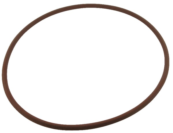 O-Ring Bremse Hinterachse (3230853R1) von Case IH