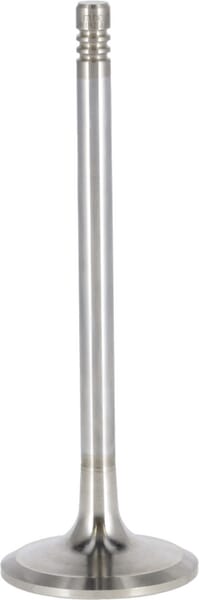 Einlassventil von Deutz 04268371