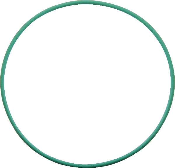 O-Ring (X548994700000) von Agco