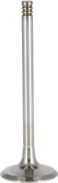 Einlassventil von Deutz 04280350