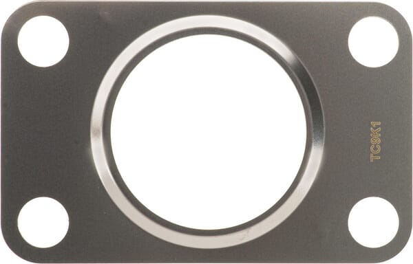 Turboladerdichtung (4224185M1) von Agco