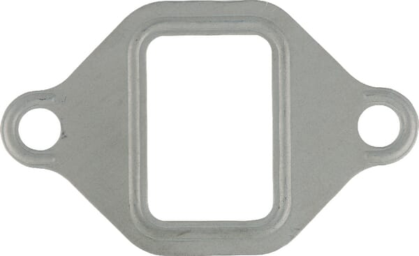 Glaser Dana Dichtung F824200100060N