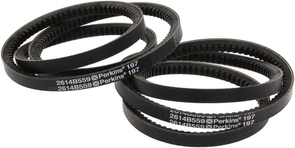 Keilriemen (1000000388) von Weidemann