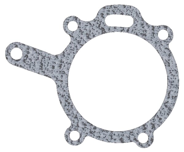 Dichtungen Wasserpumpe (4222457M1) von Agco