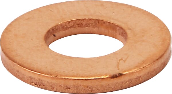 Unterlegscheibe des Düsenhalters (3641568M1) von Agco