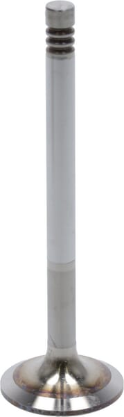 Einlassventil von Deutz 04283378