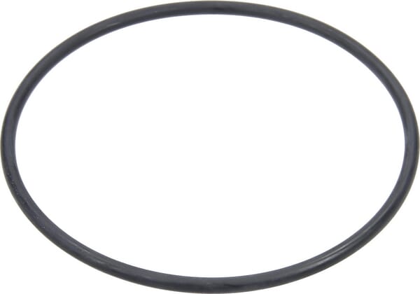 318100040 O-Ring für Kugel 2" O-Ring für Kugel 2" 318100040