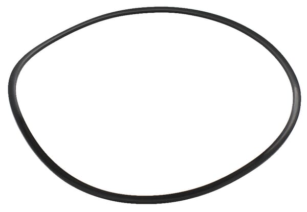 Dichtring (189051A1) von Case IH
