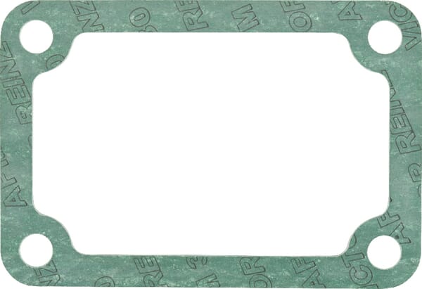 Einlassdichtung (F524200090050) von Agco