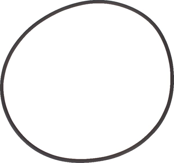 O-Ring von Deutz 21539214010