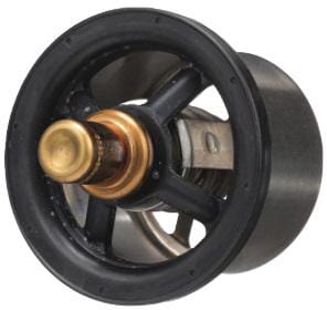 Thermostat (504096443FPT) von New Holland