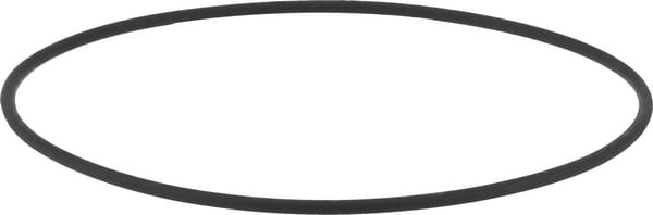 Dichtung Kraftstoffpumpe (1000256761) von Weidemann