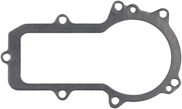 Dichtung der Kraftstoffpumpe (1000464341) von Weidemann