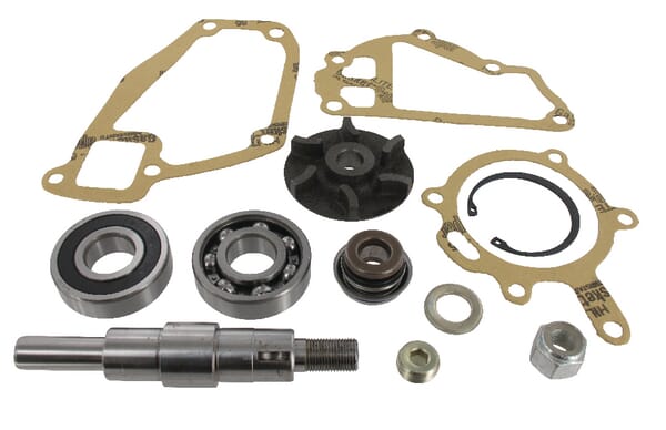 Reparaturset Wasserpumpe (3641333M91) von Agco