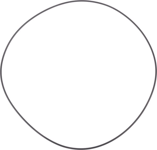 O-Ring (VKH3945) von Agco