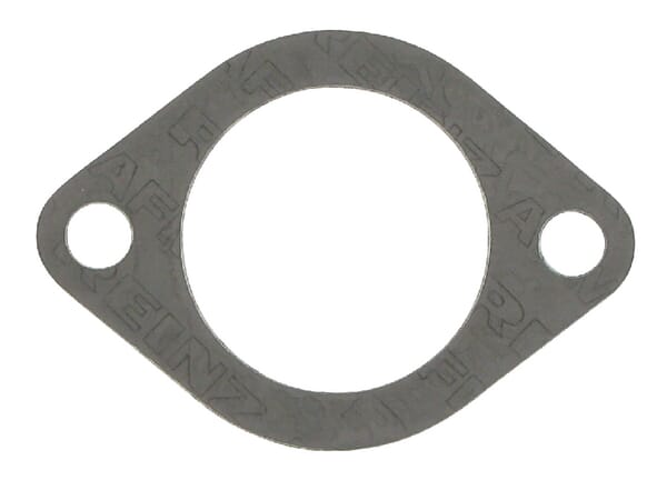 Dichtung Thermostat (3132143R2) von Case IH