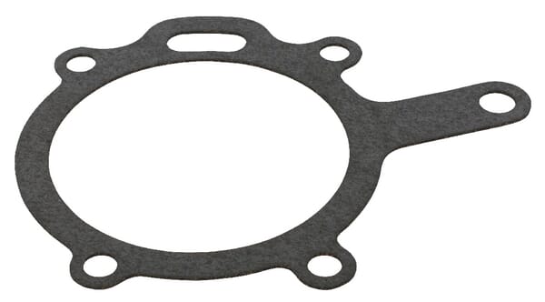 Dichtung Wasserpumpe CNH (505572) von Case IH