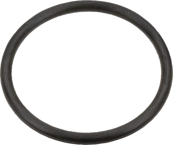 O-Ring Case-IH (3131661R1) von Case IH
