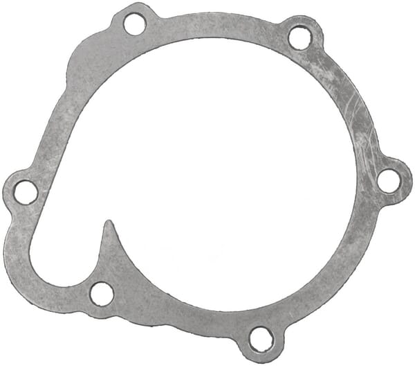 Dichtung, Wasserpumpe (F119200610040) von Agco