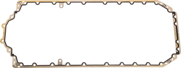 Ölwannendichtung (4226909M1) von Agco