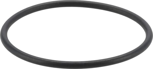 Dichtung Kraftstoffpumpe (1000485079) von Weidemann