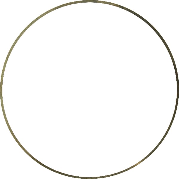 Passscheibe (J924445) von Case IH