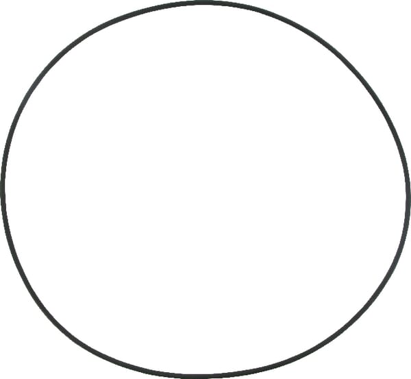 O-Ring Case-IH (2386274) von Case IH