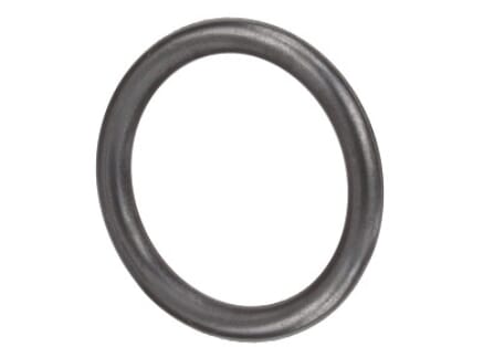 O-Ring (4890926FPT) von New Holland