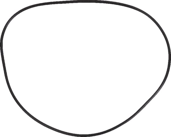 Öldichtung (3759196M1) von Agco