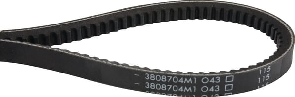Keilriemen (3808704M1) von Agco