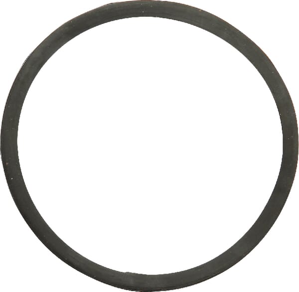 Dichtung Thermostat (130100061002) von Case IH