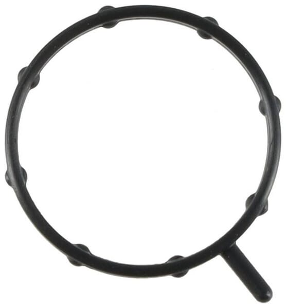 Wasserpumpendichtung (1000256907) von Weidemann