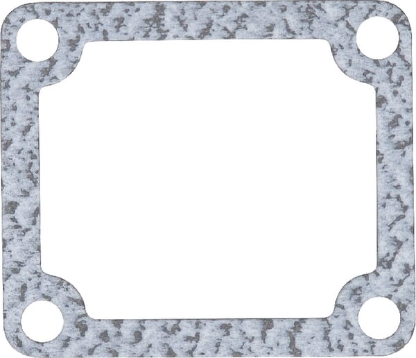 Dichtung Thermostat (4222851M1) von Agco