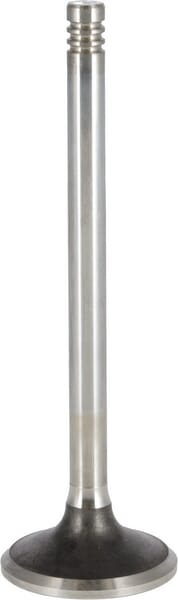 Auslassventil von Deutz 04290025