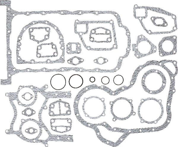 Motorsatz komplett (4224457M91) von Agco
