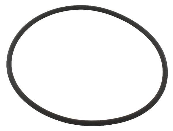 Dichtring (2387362) von Case IH