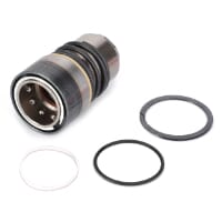 Kupplungseinsatz (F931962020440) von Agco