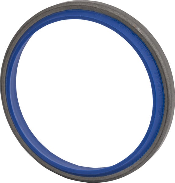 Abstreifer (X540417501000) von Agco